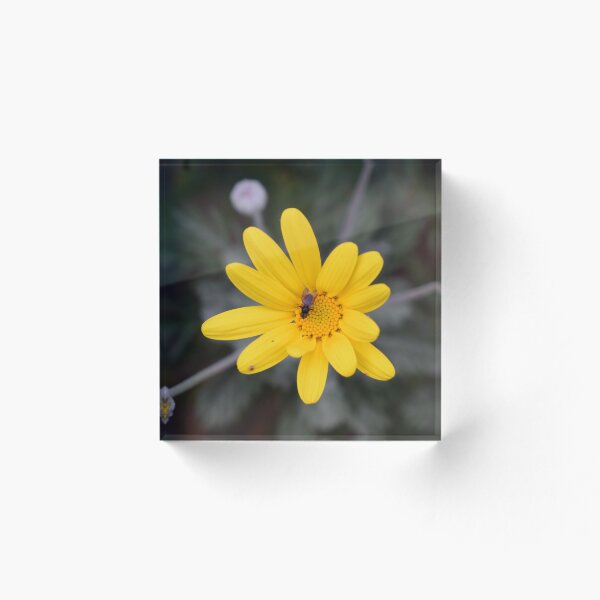 Item preview, Peaceful designed and sold by ChelShaw13.