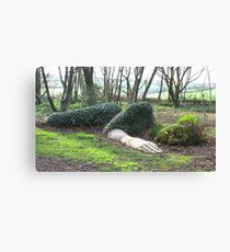 Mud Maid, lost gardens of Heligan Canvas Print