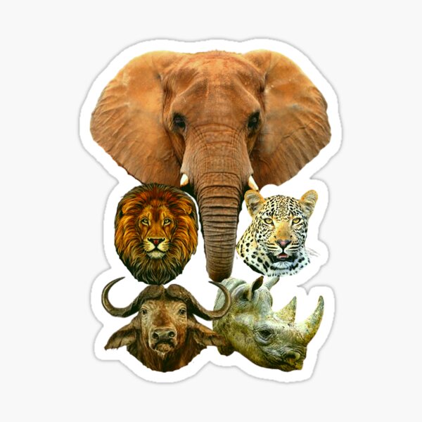BIG Five of Africa,Animals,big five,elephan,gift,lion,rhino,animal lover, animal stickers,animal gift BIG Five of Africa,Animals,big five,elephan,gift,lion,rhino,animal lover, animal stickers,animal gift