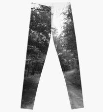 Along a Dark and Lonely Path Leggings