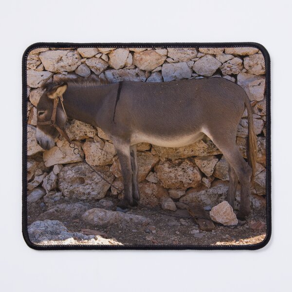 Item preview, Donkey in the Shade designed and sold by tomg.