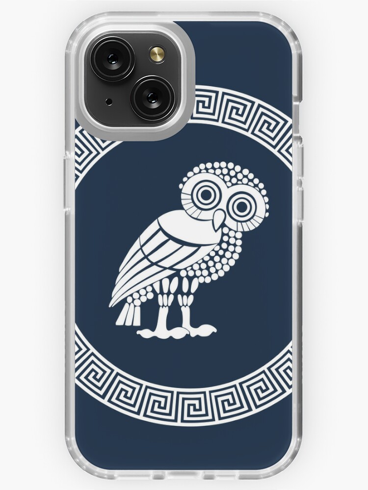 Owl Camera Cover, Camera Cover