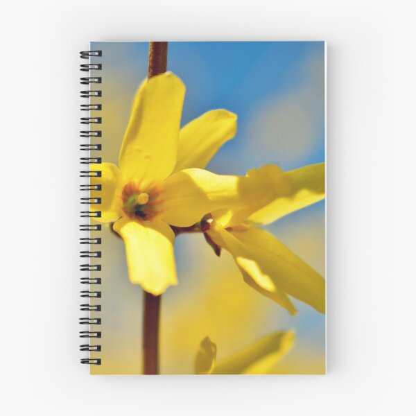 Item preview, Spring in the Garden II designed and sold by Kathleen Daley.