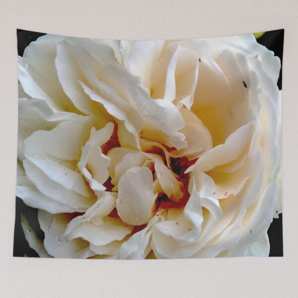 Item preview, Lovely Roses designed and sold by smh2.