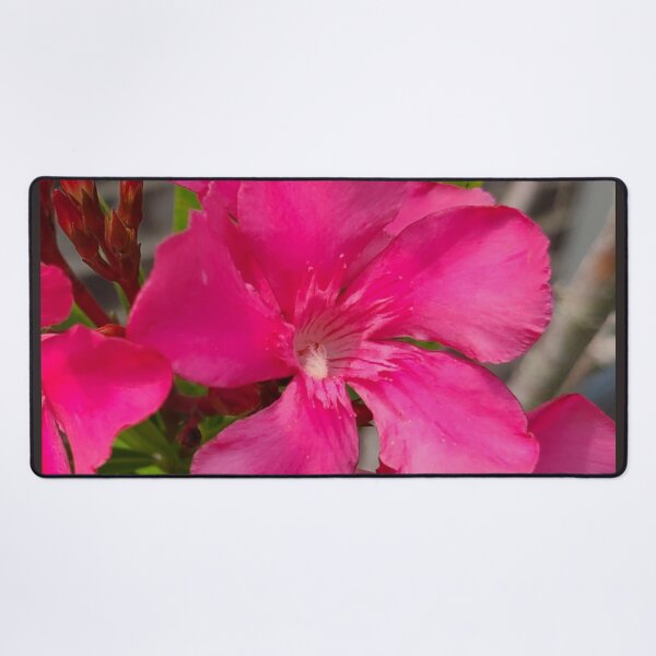 Item preview, Hot Pink Oleander Flower designed and sold by Twittlefish.