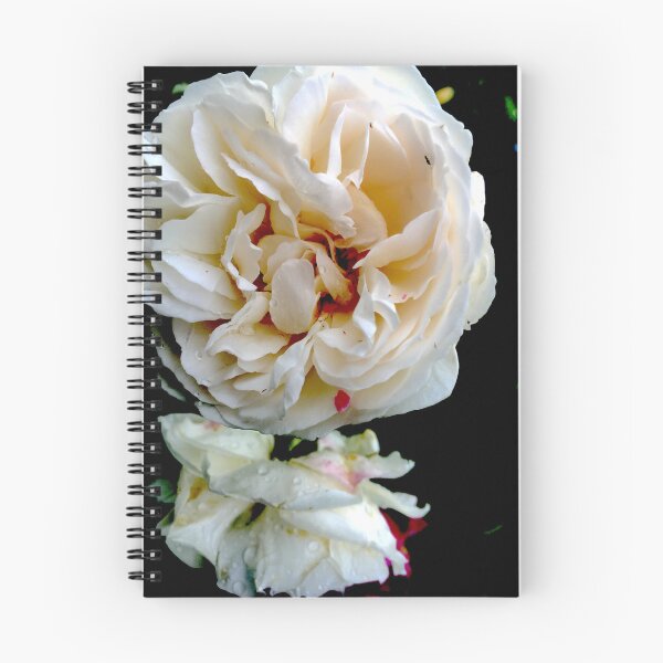 Item preview, Lovely Roses designed and sold by smh2.