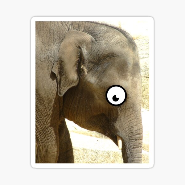"Googly Eyed Elephant" Sticker by FullonFulton Redbubble