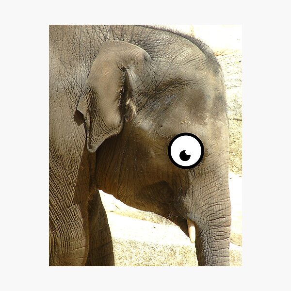 Item preview, Googly Eyed Elephant designed and sold by FullonFulton.