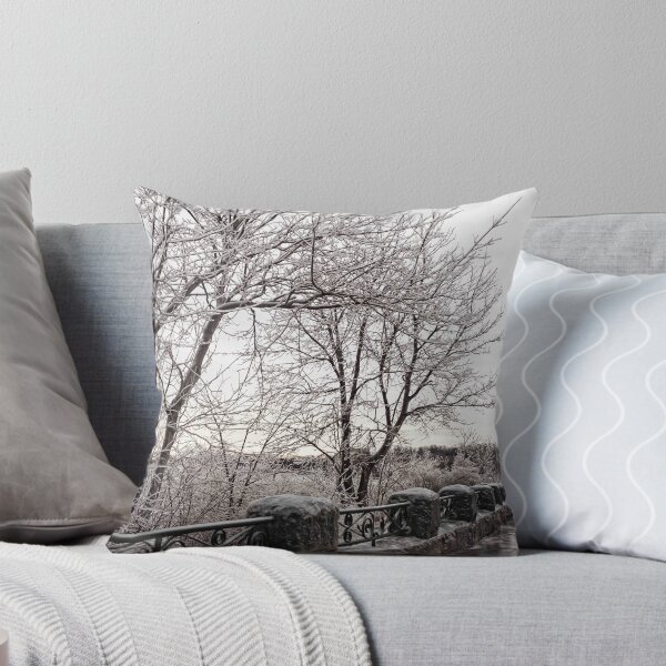 Item preview, Walking The Frozen Niagara Pathway - 5 ©  designed and sold by © Hany G. Jadaa © Prince John Photography.