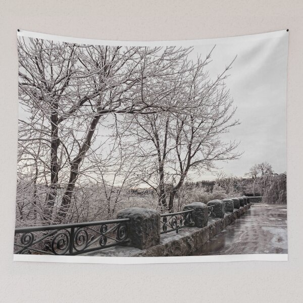 Item preview, Walking The Frozen Niagara Pathway - 5 ©  designed and sold by © Hany G. Jadaa © Prince John Photography.