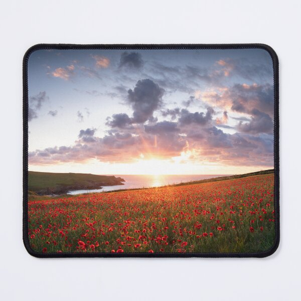 Item preview, POLLY POPPIES designed and sold by Andrew Hocking.