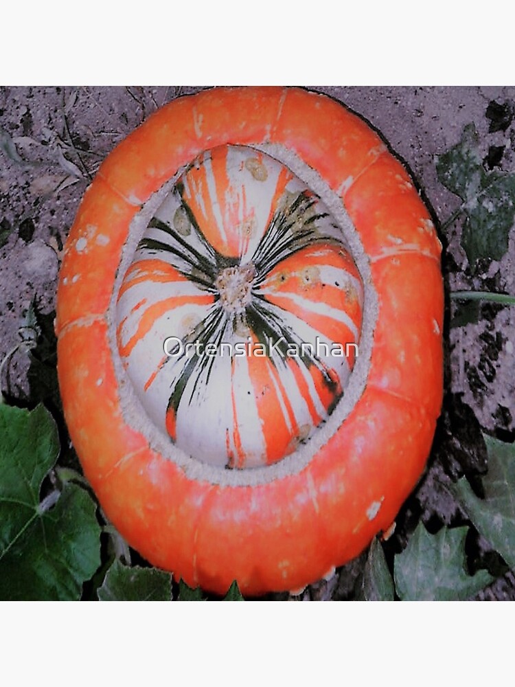 "Squash" Sticker for Sale by OrtensiaKanhan Redbubble