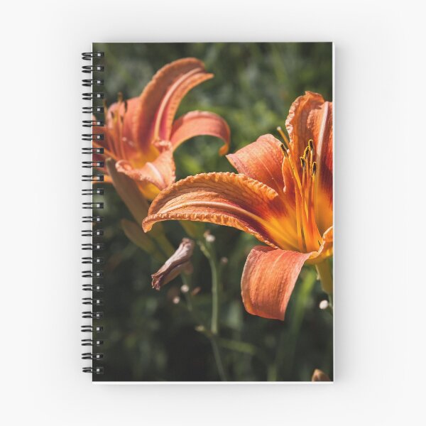 Item preview, Orange Yellow Fire Lily Flower designed and sold by PLdesign.