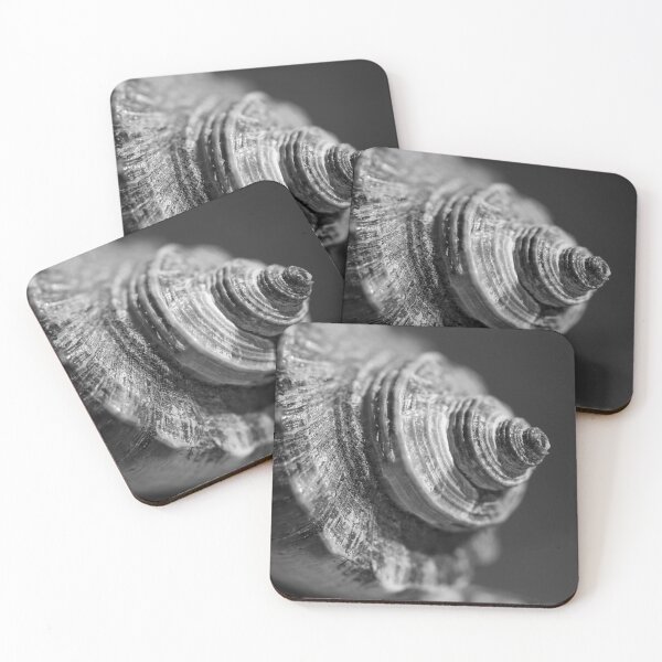 Artikelvorschau, Makro Meeresmuschel entworfen und verkauft von Dave Hare Photography.