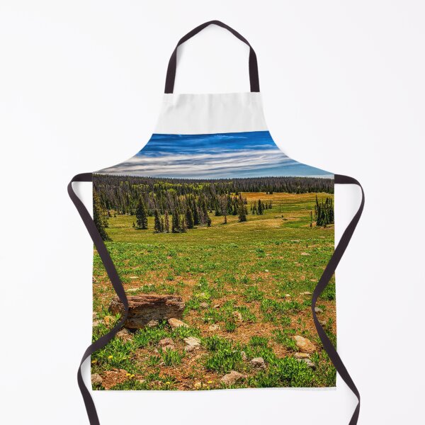 Item preview, Cedar Breaks National Monument designed and sold by GestaltImagery.