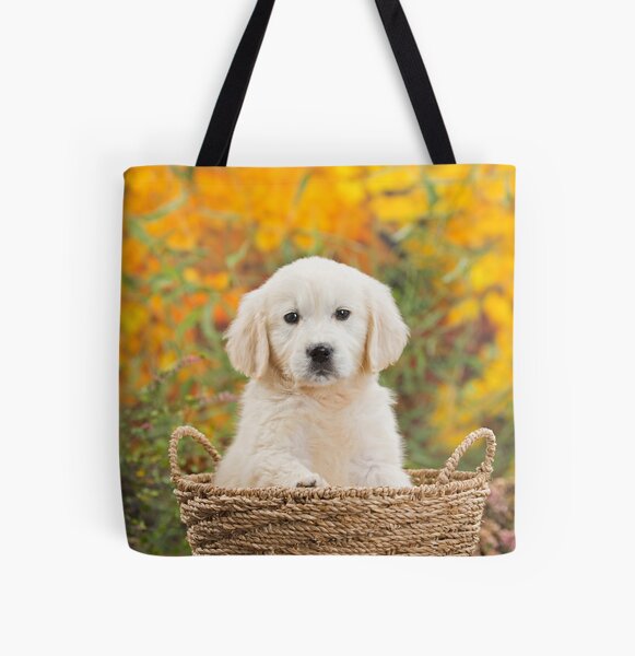 GOLDEN RETRIEVER  DOG SWIMMING DANCE BAG & NAMED PUPPY PERSONALISED GYM 