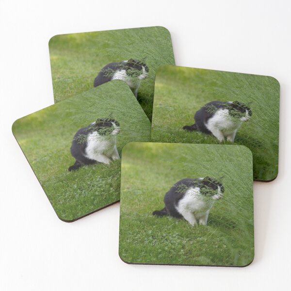 Item preview, Cat digital photograph designed and sold by Brokeartisttt.