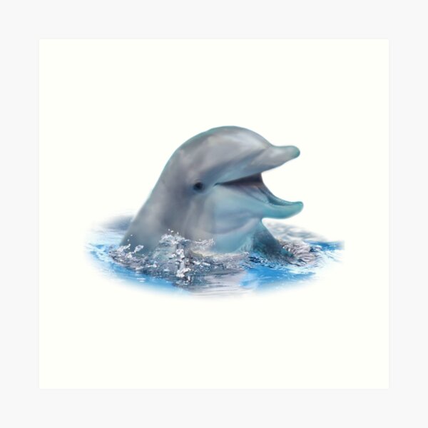 Happy Dolphin Art Print
