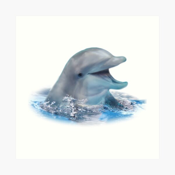 Happy Dolphin Art Print