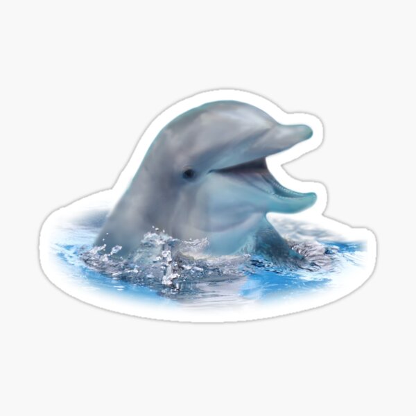 Happy Dolphin Sticker