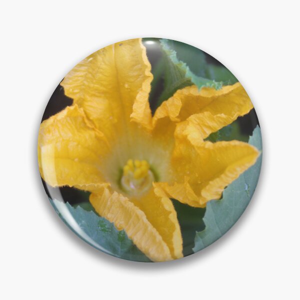 Item preview, Orange-Yellow Courgette Flower Shrub Photograph designed and sold by taiche.