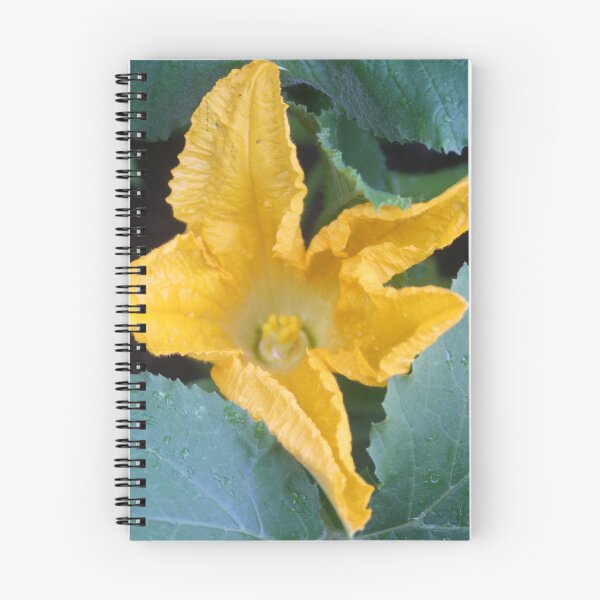 Item preview, Orange-Yellow Courgette Flower Shrub Photograph designed and sold by taiche.