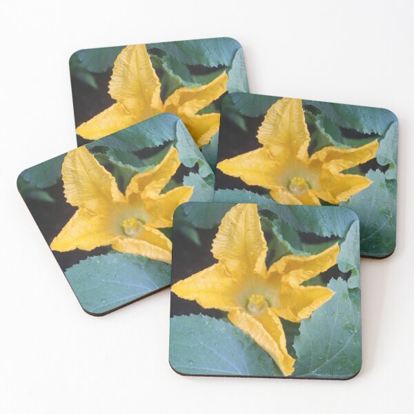 Item preview, Orange-Yellow Courgette Flower Shrub Photograph designed and sold by taiche.