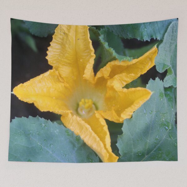 Item preview, Orange-Yellow Courgette Flower Shrub Photograph designed and sold by taiche.