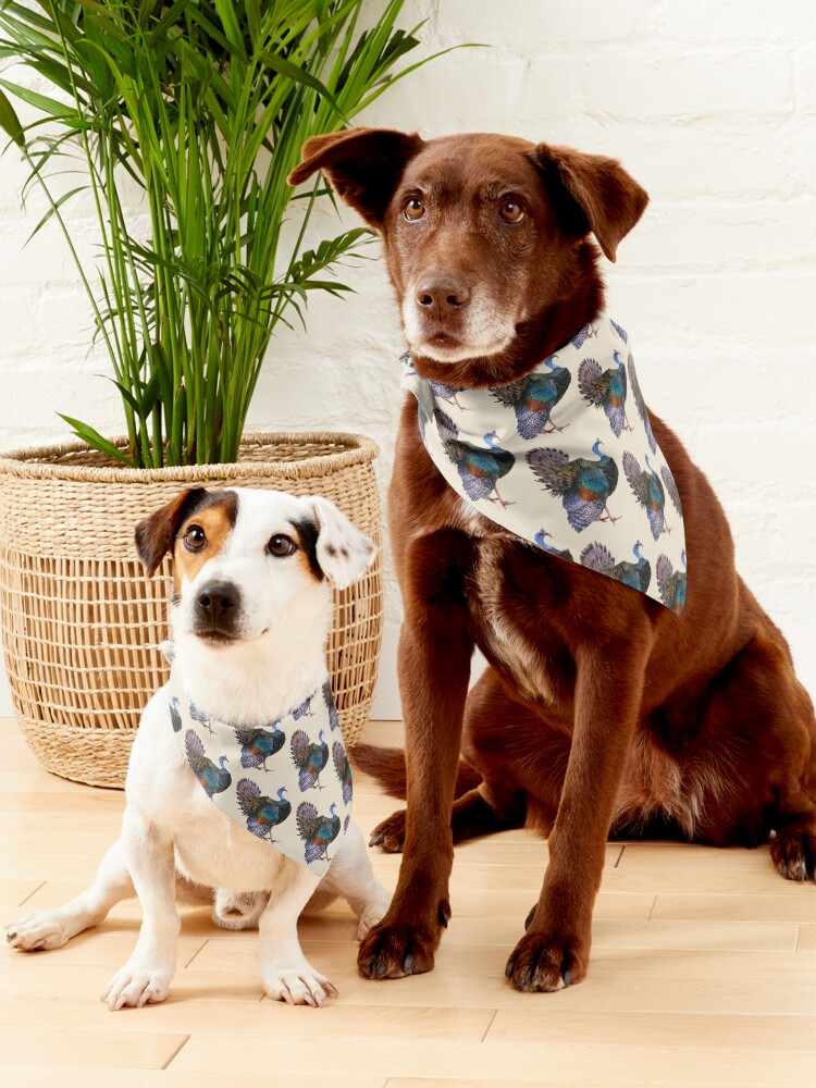 Alternate view of Iridescent Ocellated Turkey Pet Bandana