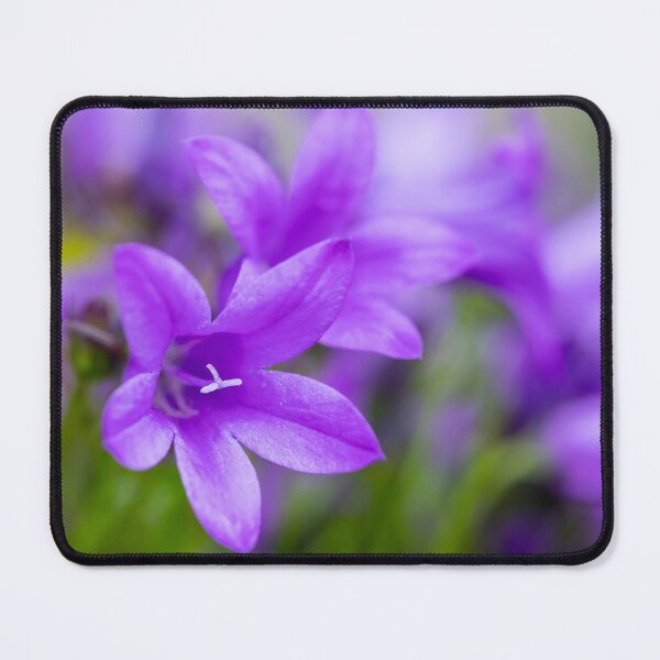 Item preview, Purple Campanula Flowers designed and sold by Tanya C  Smith.