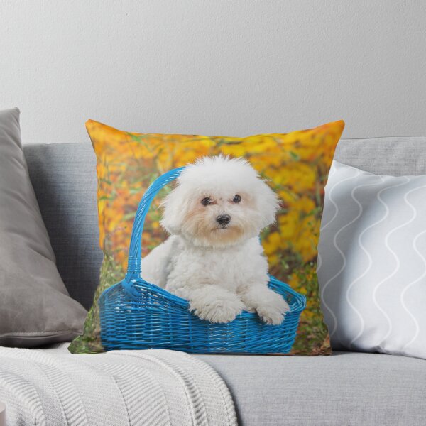 Item preview, Cute white Bichon Frise puppy sitting in a basket designed and sold by ArdeaOnline.