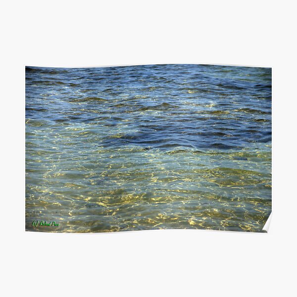 Watercolors Poster