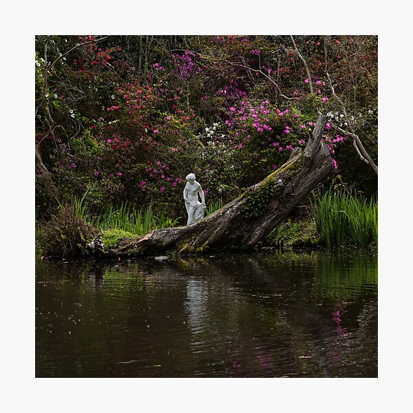 Statuesque Gifts & Merchandise for Sale Redbubble