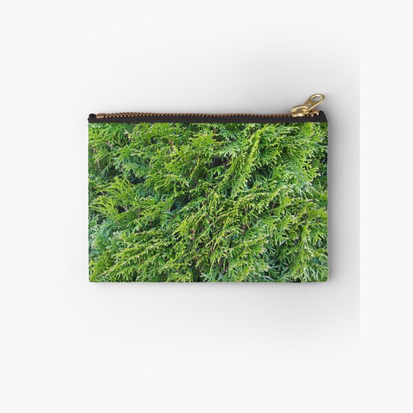 Item preview, Evergreen Tree branches close-up texture photo designed and sold by Travis Peterson.