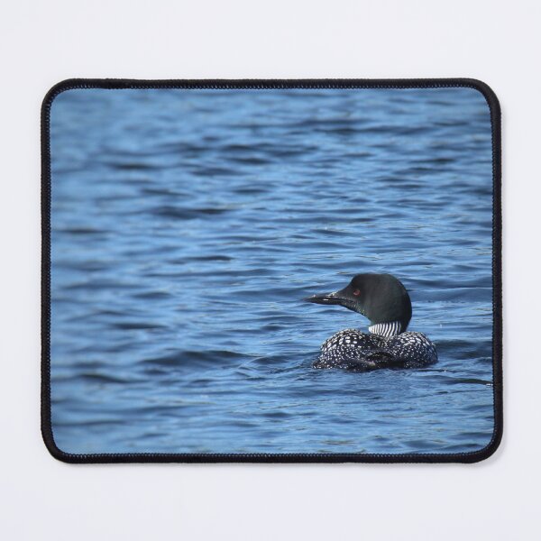 Item preview, Loon on Cedar Lake designed and sold by J Rier Photography.