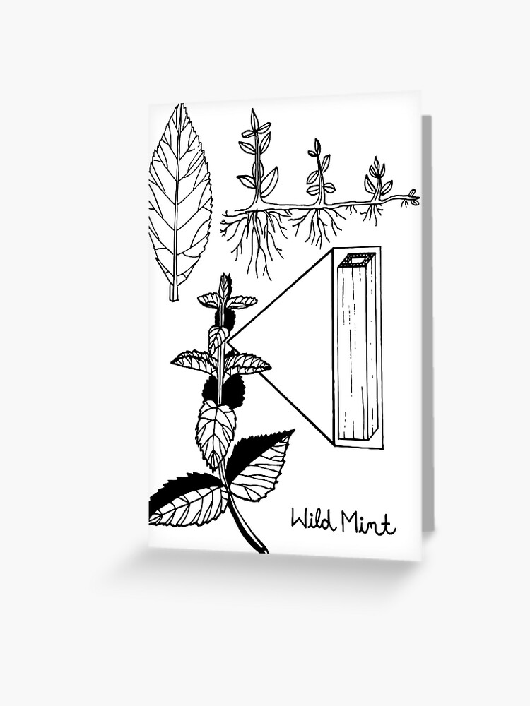 Vector illustration of mint. A branch of mint with flowers. Stylized plant.  Linear Art. Black and white drawing by hand. Tattoo. Healing herb. Stock  Vector | Adobe Stock