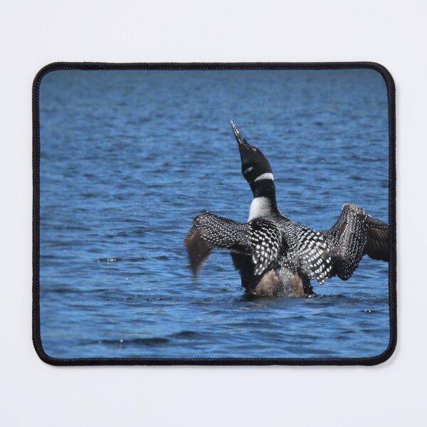 Item preview, Loon on Cedar Lake designed and sold by J Rier Photography.