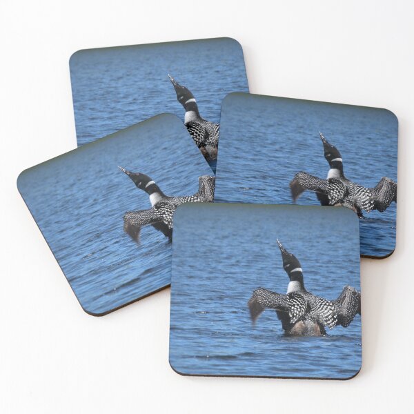 Item preview, Loon on Cedar Lake designed and sold by J Rier Photography.