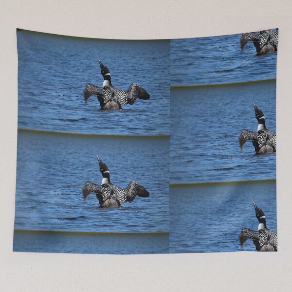 Item preview, Loon on Cedar Lake designed and sold by J Rier Photography.