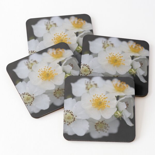 Item preview, Wild Roses designed and sold by LisaNaturePhoto.