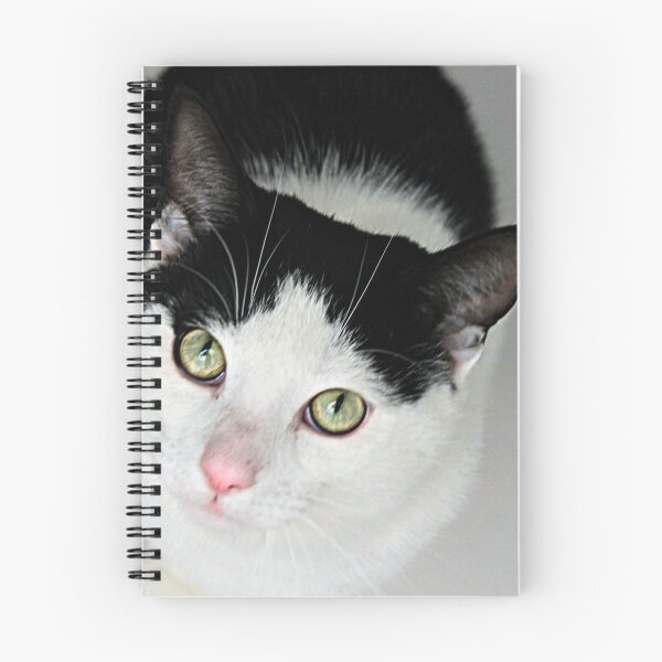 Item preview, Geoffrey designed and sold by Ladymoose.