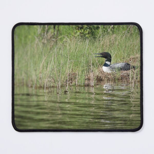 Item preview, Loon on Cedar Lake designed and sold by J Rier Photography.