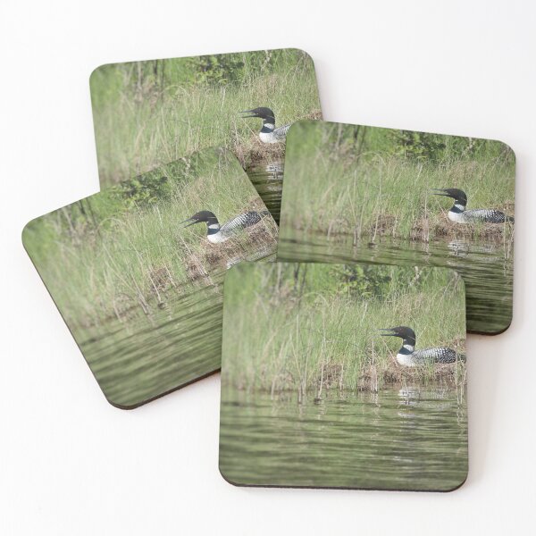 Item preview, Loon on Cedar Lake designed and sold by J Rier Photography.