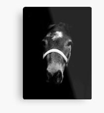 Dark Horse Metal Print