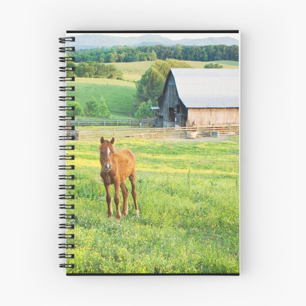 Item preview, Kentucky Evening designed and sold by Nicole  McKinney.