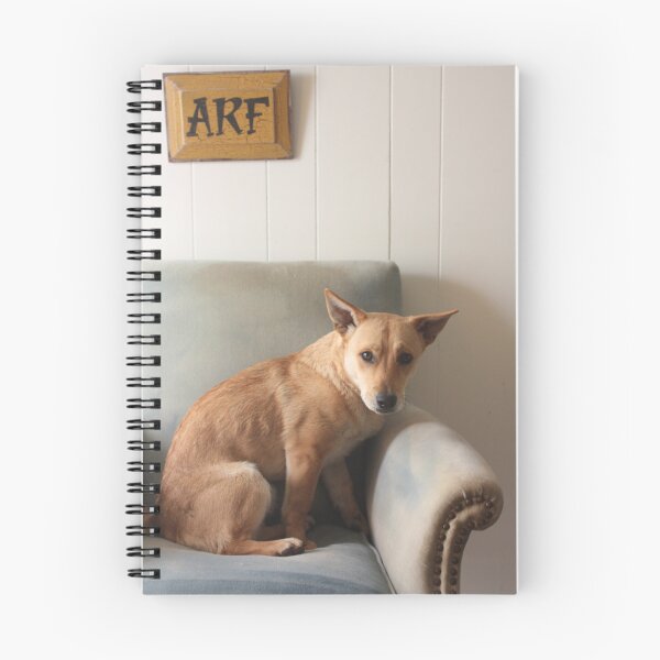Item preview, Arf designed and sold by Olivia Plasencia.