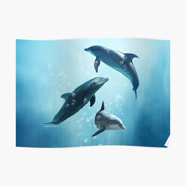 Dolphins in the Sea Poster