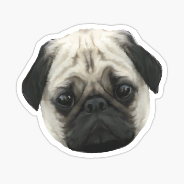 Pug Head Sticker