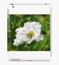 Blond Bee iPad Case/Skin
