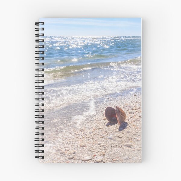 Item preview, Summertime Seashell designed and sold by Silken Photography.